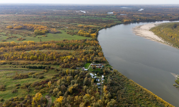 В научном кубометре расцвела болотная кассандра