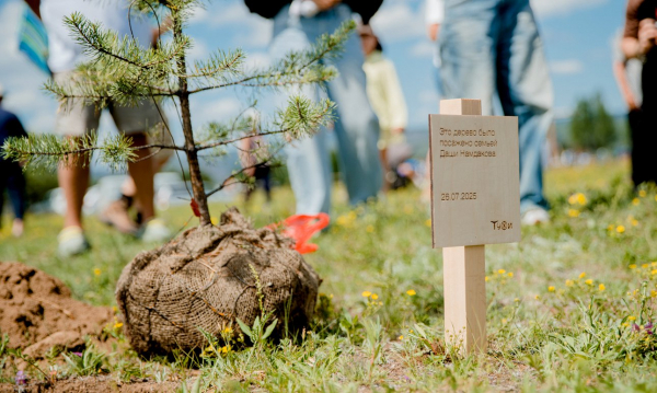 Ленд-арт-парк «Тужи» спасен в лесных пожарах
