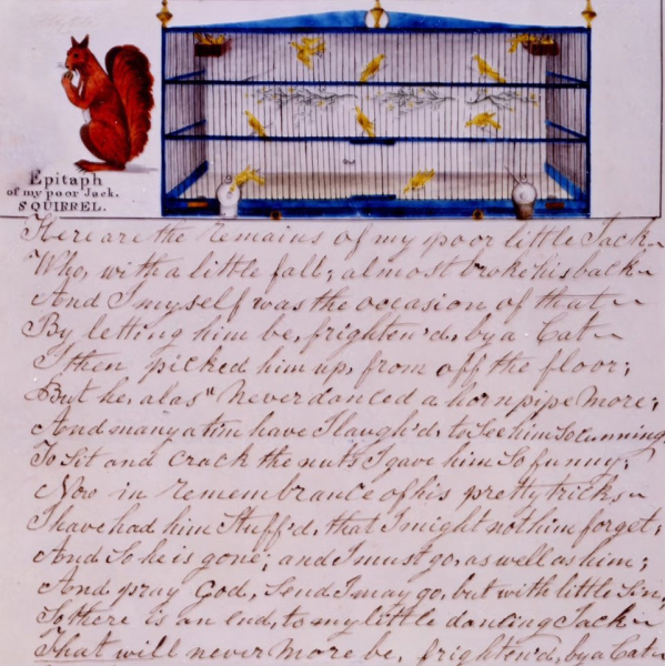 На выставке в Бедламе вспоминают историю пациента и его белки