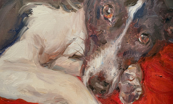 Русский музей показывает «Жизнь замечательных собак»