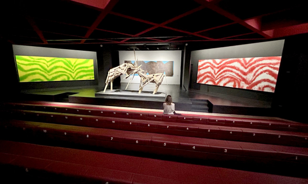 Сергей Ковалевский: «Мы экспериментируем уже 30 лет»