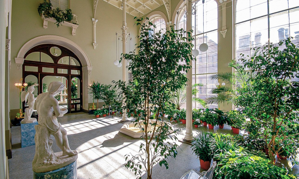 Музейные оранжереи: искусство в тепличных условиях