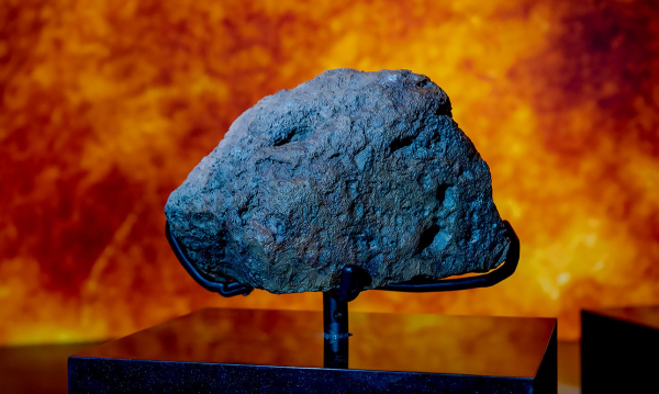 Динозавры и ловцы жемчуга: в Абу-Даби открыли два музея