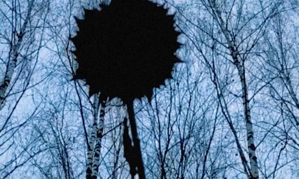 Топ выставок весны Топ выставок весны