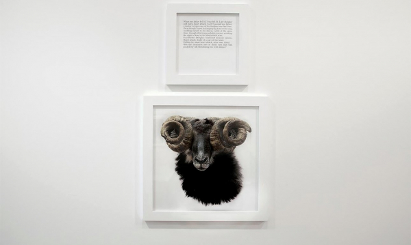 Софи Каль: «Все мое творчество посвящено утраченным вещам»