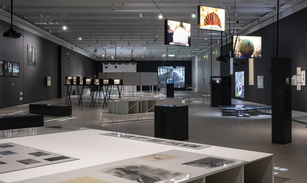 Тотальное сновидение Ольги Чернышевой в «ГЭС-2»