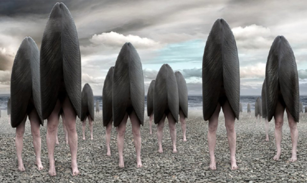 Алина Крюкова: «Коржов существовал как отдельная планета в художественной вселенной»