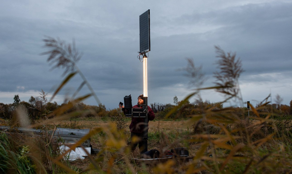 В научном кубометре расцвела болотная кассандра