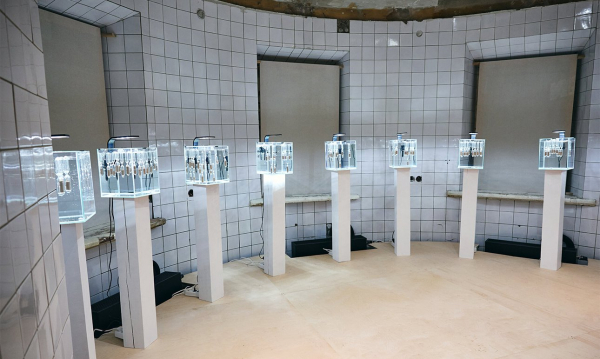 Временные мосты наводят на выставке-экскурсии «Будущее воспоминаний» Временные мосты наводят на выставке-экскурсии «Будущее воспоминаний»